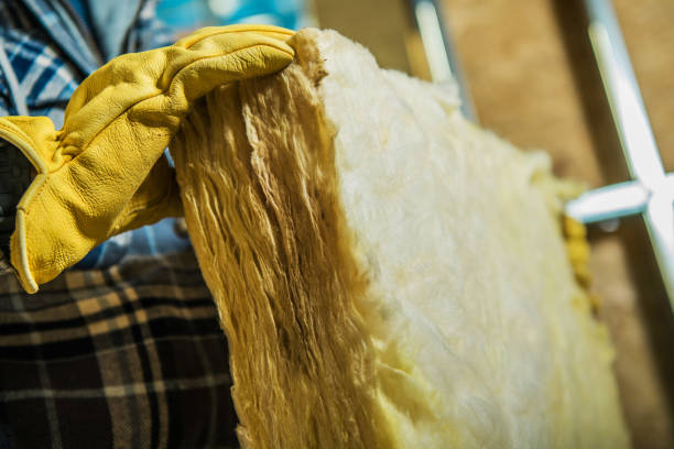 Best Insulation Maintenance and Repair in Willow Grove, PA