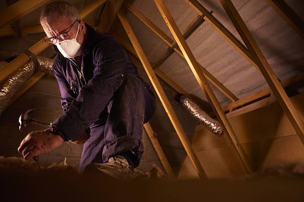 Best Residential Insulation in Willow Grove, PA